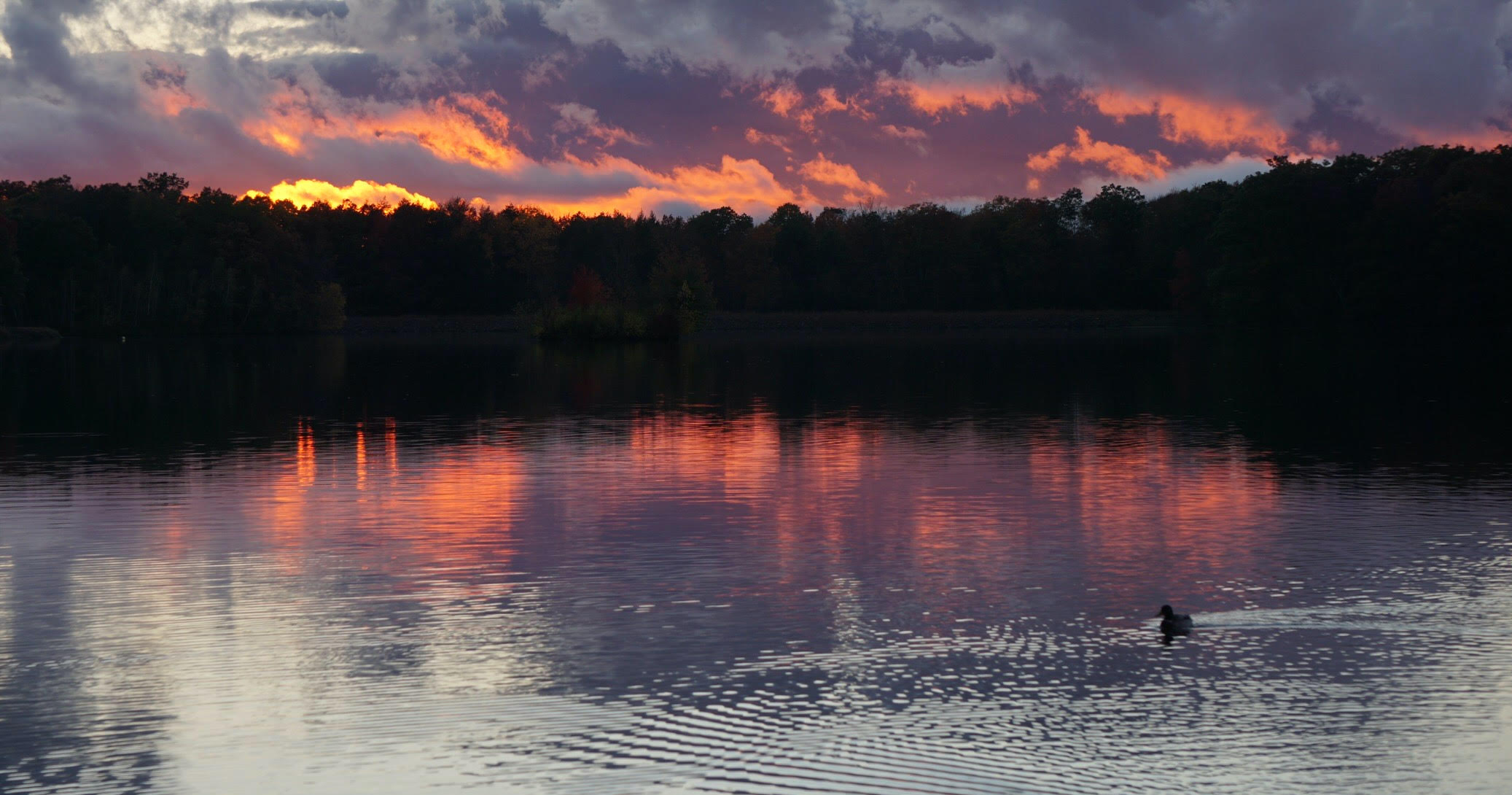 Lake 1 copy 4