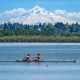 Eurasian Watermilfoil Treatment at Vancouver Lake in the news
