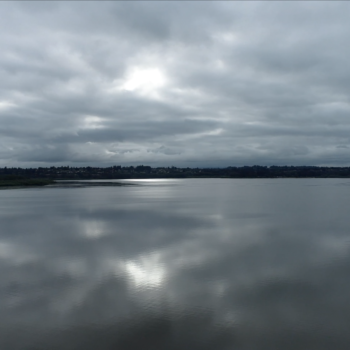 Vancouver Lake Aerial View