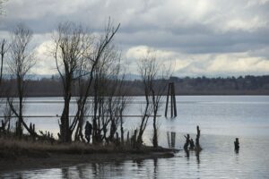Columbian: Group reflects on Vancouver Lake